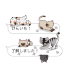 【けんいち】猫だらけの吹き出し（個別スタンプ：17）