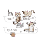 【こうじ】猫だらけの吹き出し（個別スタンプ：40）