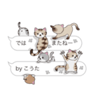 【こうた】猫だらけの吹き出し（個別スタンプ：40）