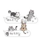 【たかし】猫だらけの吹き出し（個別スタンプ：27）