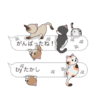 【たかし】猫だらけの吹き出し（個別スタンプ：28）