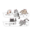 【たくみ】猫だらけの吹き出し（個別スタンプ：18）