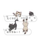 【たくや】猫だらけの吹き出し（個別スタンプ：3）