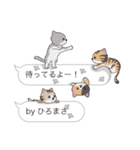 【ひろまさ】猫だらけの吹き出し（個別スタンプ：15）