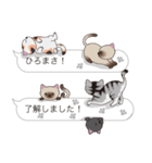 【ひろまさ】猫だらけの吹き出し（個別スタンプ：17）