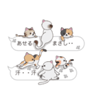 【まさし】猫だらけの吹き出し（個別スタンプ：36）