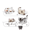 【まさと】猫だらけの吹き出し（個別スタンプ：17）