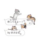 【まさはる】猫だらけの吹き出し（個別スタンプ：15）