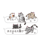 【まさはる】猫だらけの吹き出し（個別スタンプ：18）