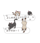 【よしゆき】猫だらけの吹き出し（個別スタンプ：3）