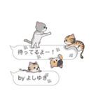 【よしゆき】猫だらけの吹き出し（個別スタンプ：15）