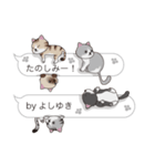 【よしゆき】猫だらけの吹き出し（個別スタンプ：26）