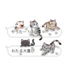 【わたる】猫だらけの吹き出し（個別スタンプ：18）