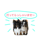 teyfamilyのマァティとラスティ（個別スタンプ：5）