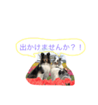 teyfamilyのマァティとラスティ（個別スタンプ：10）
