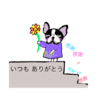 フレンチブルドッグの空太郎（個別スタンプ：1）