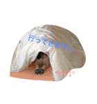 フレンチブルドッグ空太郎2（個別スタンプ：2）