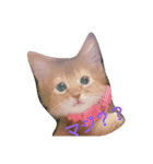 猫のソマリのきなこちゃん（個別スタンプ：3）