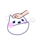 あごわんこ（個別スタンプ：17）