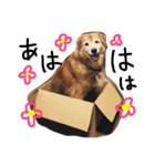 みかんちゃんのスタンプ（個別スタンプ：12）