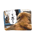 みかんちゃんのスタンプ（個別スタンプ：25）