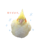 Rice learns polite language（個別スタンプ：3）