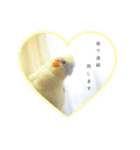 Rice learns polite language（個別スタンプ：6）