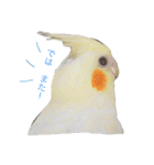 Rice learns polite language（個別スタンプ：10）