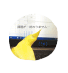 Rice learns polite language（個別スタンプ：11）