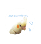 Rice learns polite language（個別スタンプ：15）
