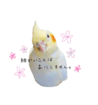 Rice learns polite language（個別スタンプ：25）