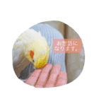 Rice learns polite language（個別スタンプ：26）