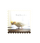 Rice learns polite language（個別スタンプ：29）