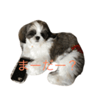 鈴＆柚（個別スタンプ：2）