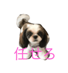 鈴＆柚（個別スタンプ：3）