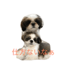 鈴＆柚（個別スタンプ：5）