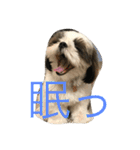 鈴＆柚（個別スタンプ：6）