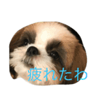 鈴＆柚（個別スタンプ：7）
