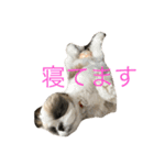 鈴＆柚（個別スタンプ：9）