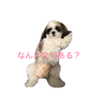 鈴＆柚（個別スタンプ：10）