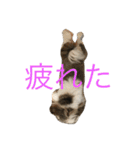 鈴＆柚（個別スタンプ：13）