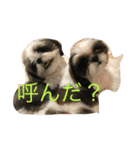 鈴＆柚（個別スタンプ：14）