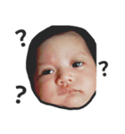 Baby Phoenix（個別スタンプ：2）