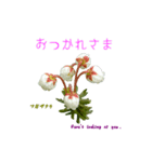 花を添えて 4（個別スタンプ：1）
