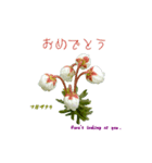 花を添えて 4（個別スタンプ：2）