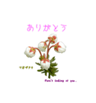 花を添えて 4（個別スタンプ：3）