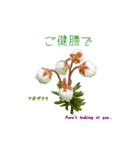 花を添えて 4（個別スタンプ：5）