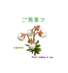 花を添えて 4（個別スタンプ：6）