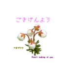 花を添えて 4（個別スタンプ：8）