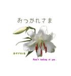 花を添えて 4（個別スタンプ：9）